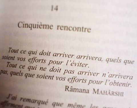 988927_10152646398442861_528523068733221174_n