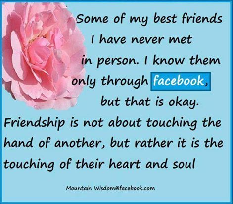 10434012_976010155826501_3232141695329431346_n