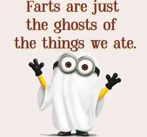 11224631_979191705484039_5997101325678413709_n