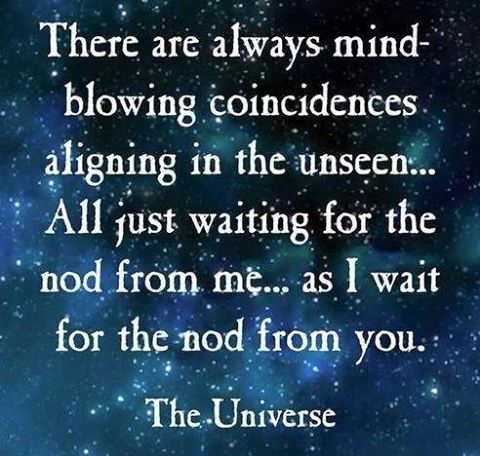 12472298_10208244890812478_7870231936676436674_n