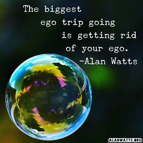 12814750_10154627440563989_7473925956646450855_n