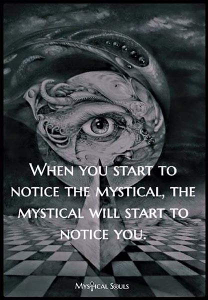 13006524_504887606368678_4793557797231341605_n