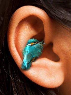 13012735_10154132251601241_2612681691031729693_n