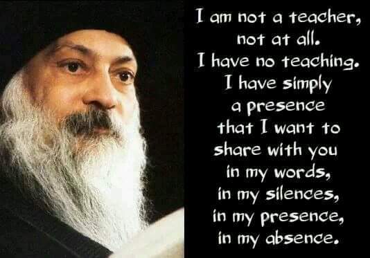 13015498_10153573457653543_267258345005037960_n