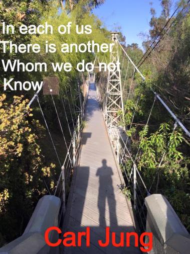 13138939_1302503543096410_2891329060307600340_n