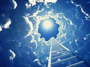 13164225_10207811545904582_3127432799427616657_n