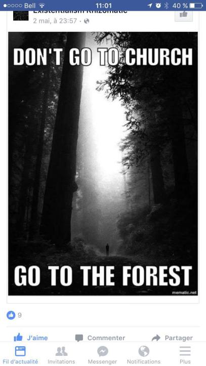 13214404_1003530179738369_601403894_o