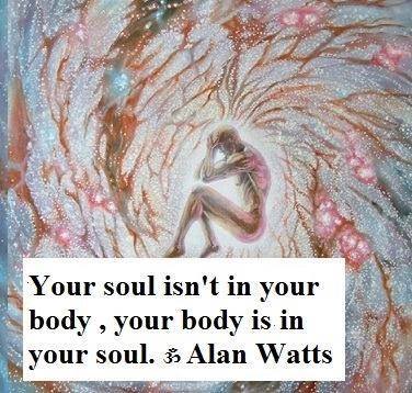 13226861_10154855161418989_2302470375388360074_n