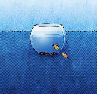 13240718_10156920950780704_7358410852023045380_n