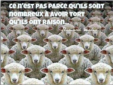 536908_10151972748647667_1472138140_n