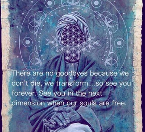 13466081_1050101745080499_6469672800200762752_n