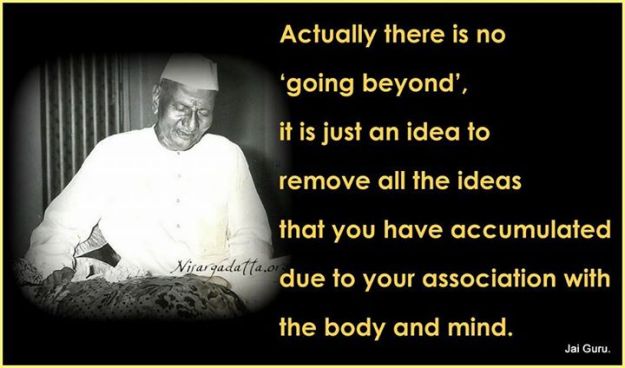 1936991_592933504195148_7012451210270379258_n