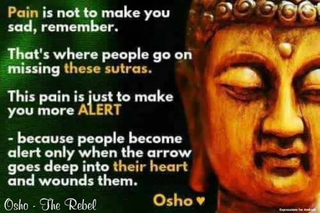 13322043_10208656420380460_3657973406560522705_n