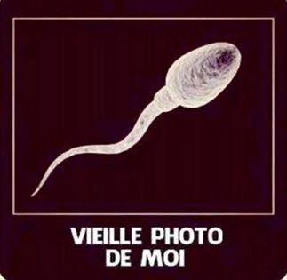 13537812_10154203604868382_3590000882467356541_n