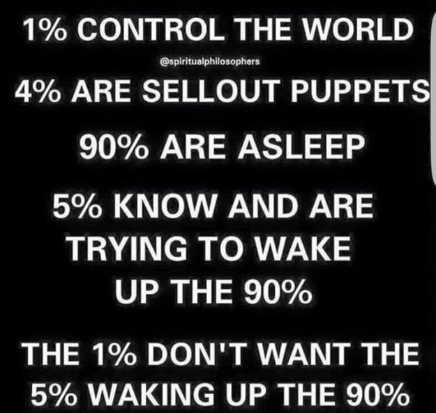 13615331_10153930475083768_5600466920701934884_n