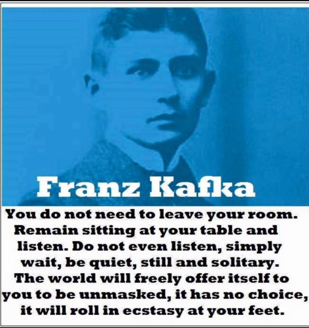 13886245_1360728417273922_1104604825195247299_n