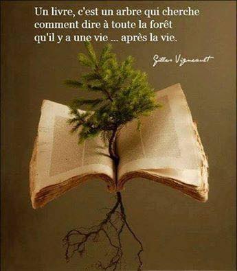 13612123_256701584707805_1645800927777494512_n