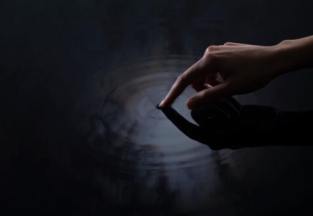 13912641_830163337120895_2759864343874452722_n