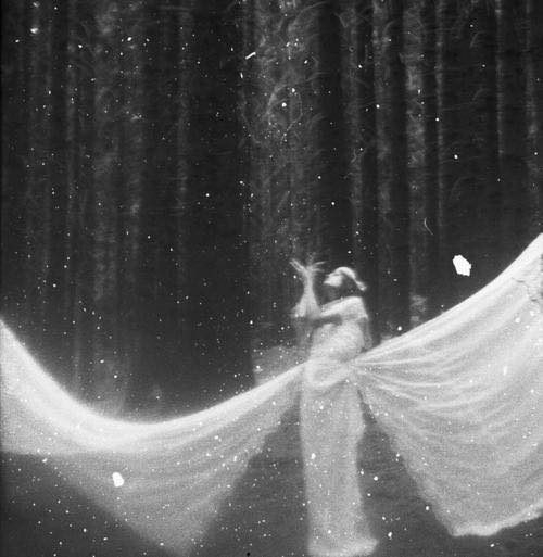 14089139_535115990015632_3175823647171404766_n