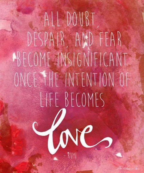 14233180_1167675299972583_2308560637837620689_n