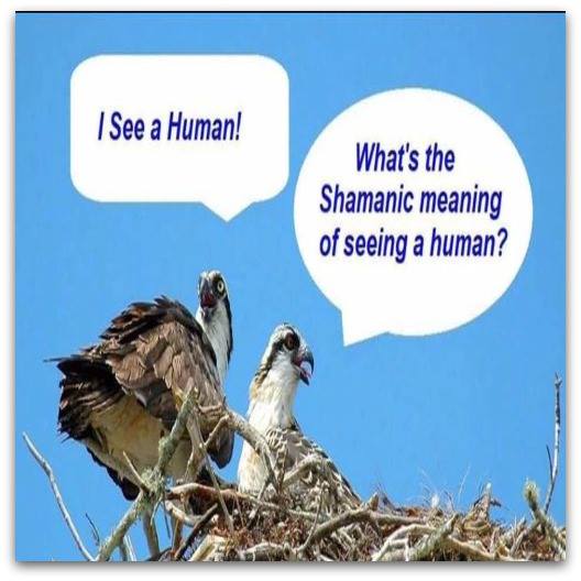 14237694_946388052139347_9183337019558056571_n