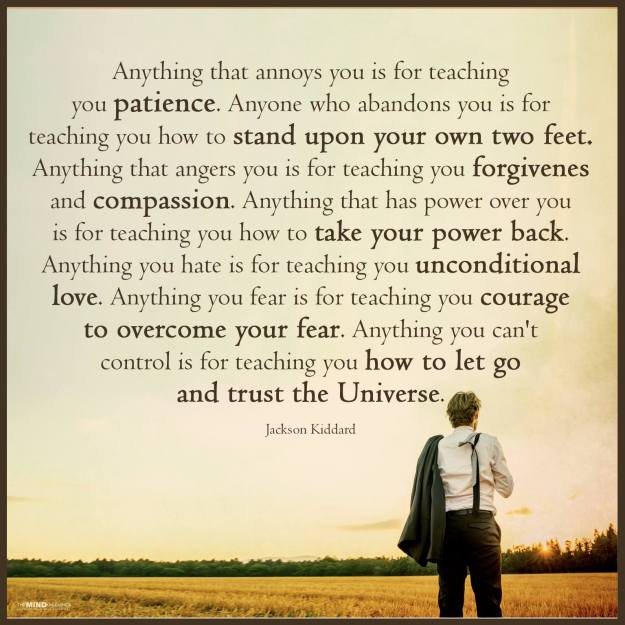 14311495_1278356375554838_3564316411489668784_o