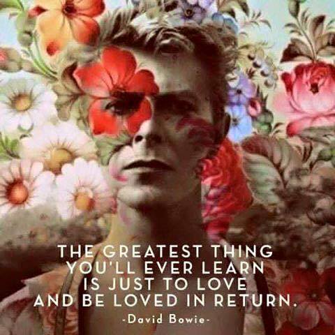 14322757_909625172515062_5601587973082004863_n