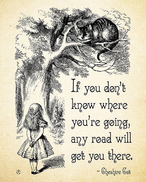 14369854_10209479719122414_7464570683905264170_n