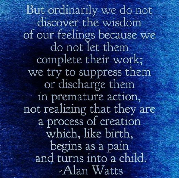 14344318_534790450046935_5112229461953801096_n