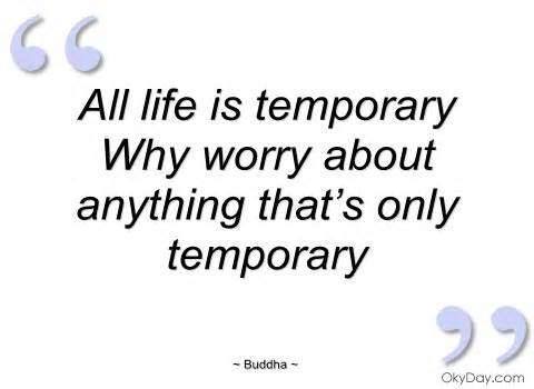 14368766_10154559173586241_8436383988326937480_n