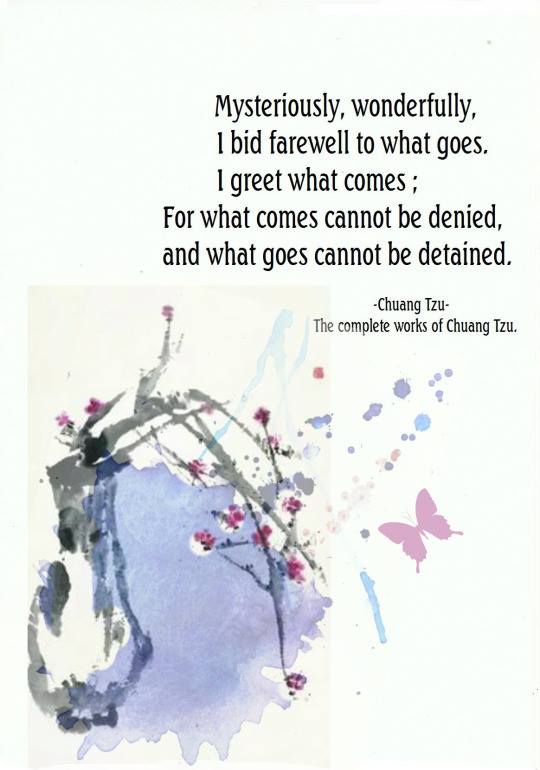 14520555_1308912135785983_4918312702865739198_n