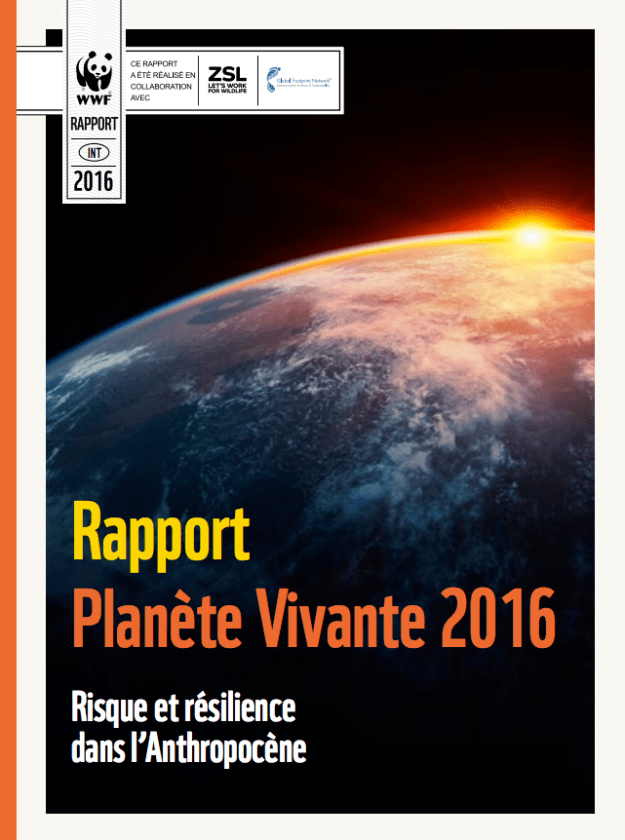 capture-decran-2016-10-27-a-04-36-50