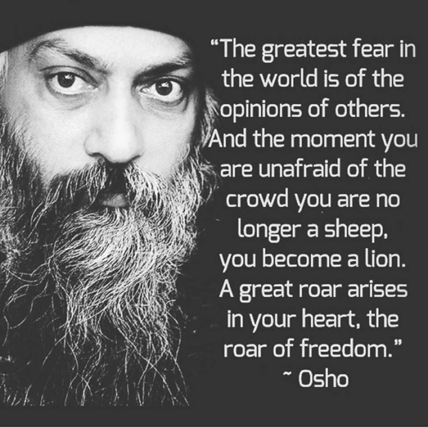 14590421_1563127757036873_8896226188290920768_n