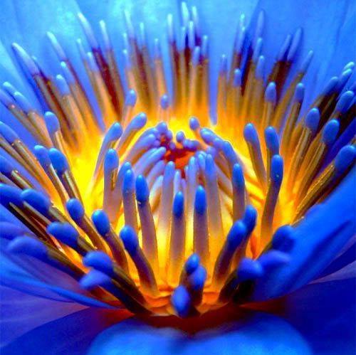 15079085_10155411041879298_9109139382942728731_n