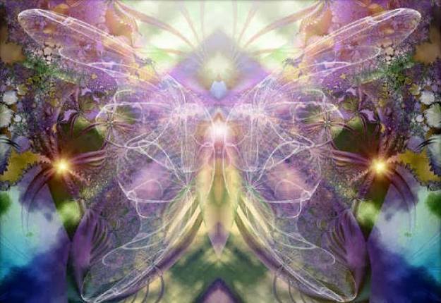 15135744_10153928470145766_2934804222314544628_n