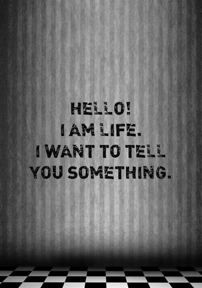 14233175_1339320536108061_5601750333889408140_n