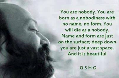 15319261_10154757955872192_1041401963508939897_n