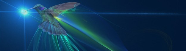 cropped-11257200_10153397442277975_3197764059460638863_o-1