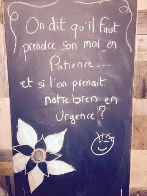 18342106_1508345549178564_7384236456392699421_n