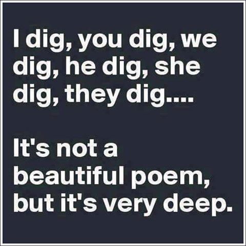 18582223_10156073317855828_9214319548326309955_n