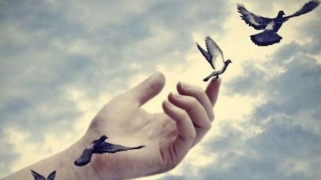 20934012_10154784087151447_1990378160666976810_o