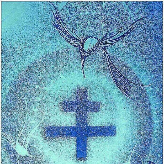 21430503_10154727937032797_705913203459645965_n