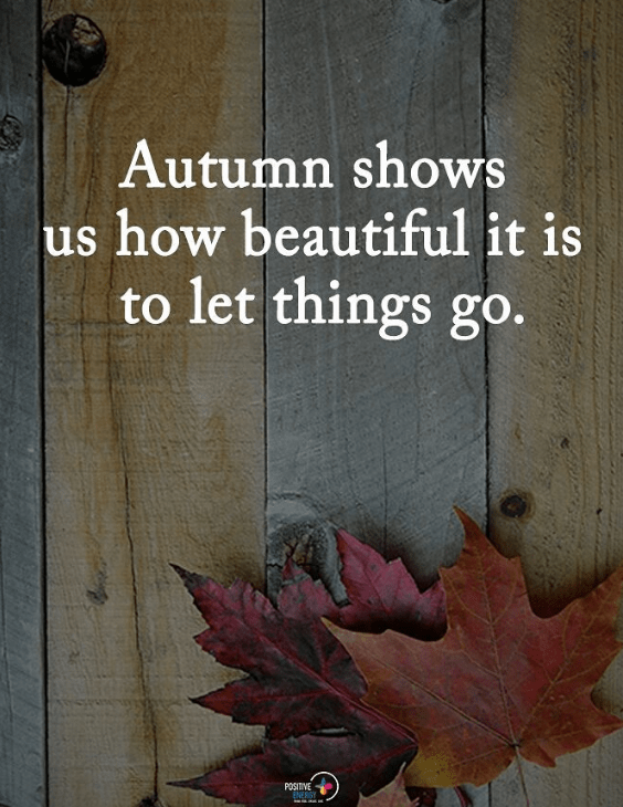 Capture d’écran 2017-10-18 à 12.43.18.png