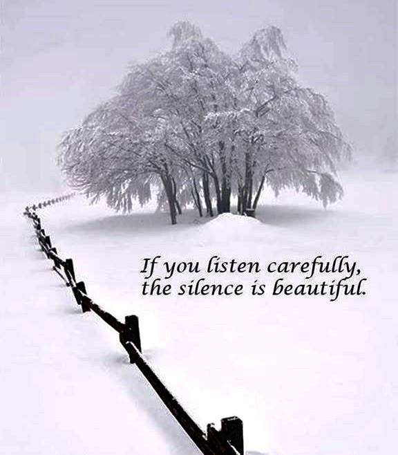 12295458_1049350395126246_4008733891833953425_n