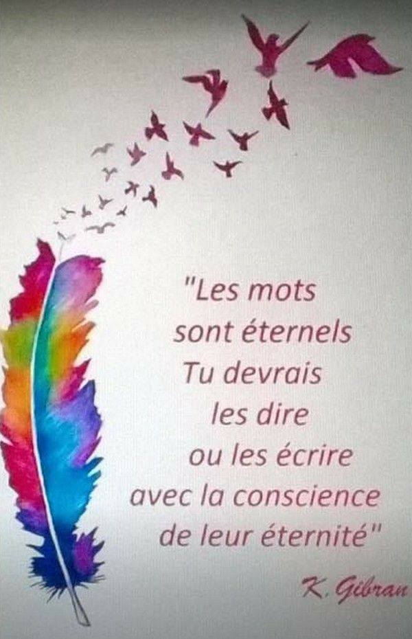 17795725_1875699629367479_7075098337216744494_n