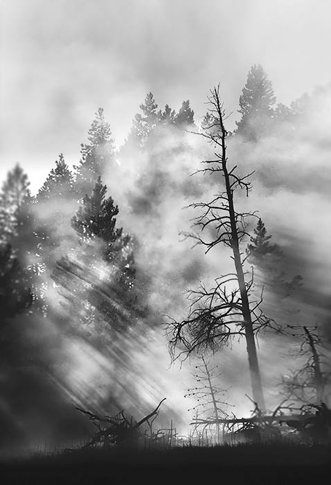 22555212_1481145698605827_8340833867077303149_n