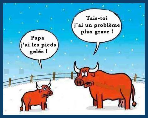 15390661_1152158074904911_1928840124956393685_n