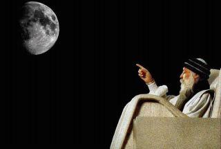 388476_10150394373987797_461320951_n