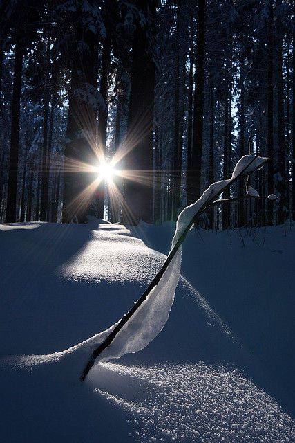 Jonathan Duriaux.jpg