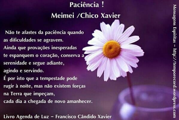 28276684_1728236283907416_7917722748741724489_n